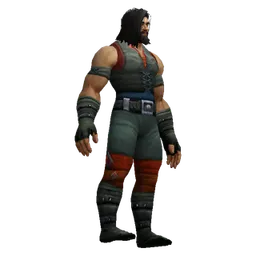 Wastewander Bandit