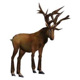 Tallhorn Stag
